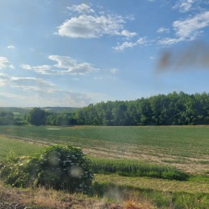 Kudlančí puťák Bílými Karpaty