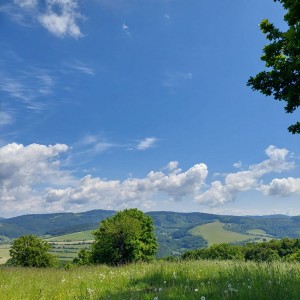 Kudlančí puťák Bílými Karpaty
