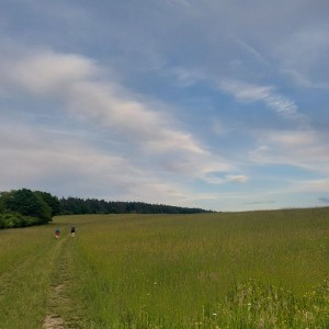 Kudlančí puťák Bílými Karpaty