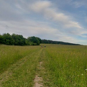 Kudlančí puťák Bílými Karpaty