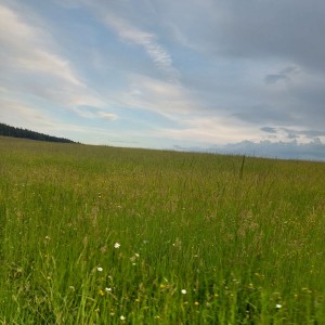 Kudlančí puťák Bílými Karpaty