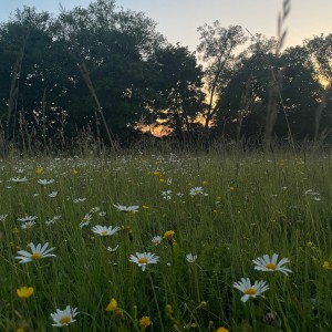 Kudlančí puťák Bílými Karpaty