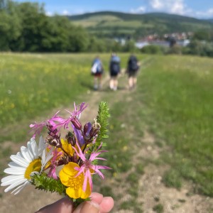 Kudlančí puťák Bílými Karpaty