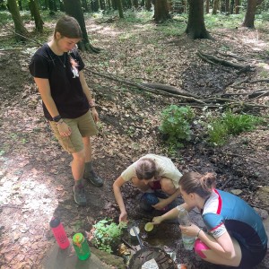 Kudlančí puťák Bílými Karpaty