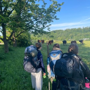 Kudlančí puťák Bílými Karpaty