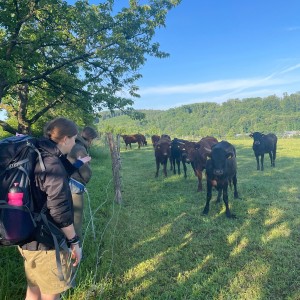 Kudlančí puťák Bílými Karpaty
