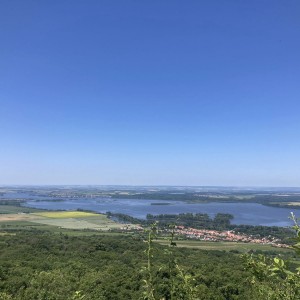 Lachtani na Pálavě