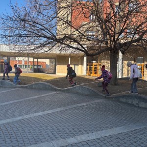 Lasičky v Anthroposu