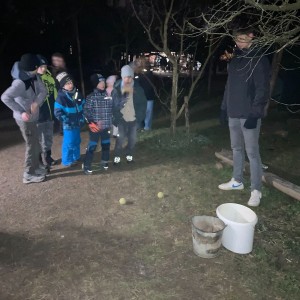 Lednová oddílovka