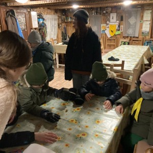 Lednová oddílovka