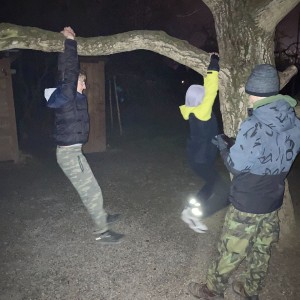 Lednová oddílovka