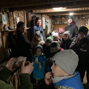 Lednová oddílovka