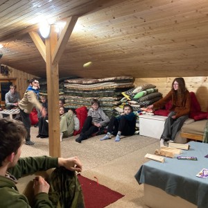 Lednová oddílovka