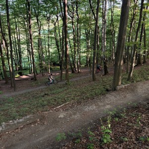 Liščí cykloschůzka 28.4.2025