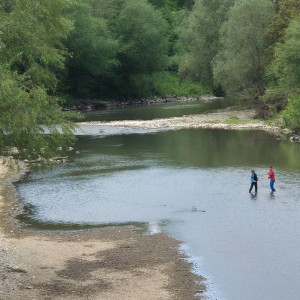 Liščí výprava na Bečvu