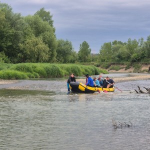 Liščí výprava na Bečvu