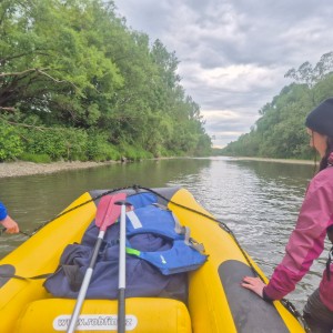Liščí výprava na Bečvu