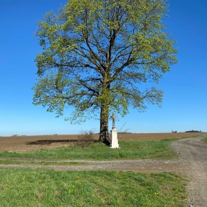 MEGA puťák CTH týmu