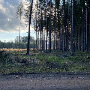 MEGA puťák CTH týmu