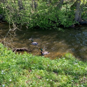 MEGA puťák CTH týmu