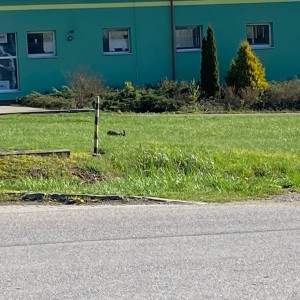 MEGA puťák CTH týmu