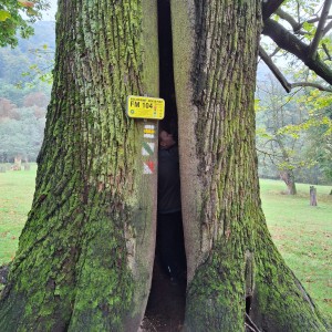 Pandí výpravy na hrad Hukvaldy