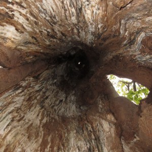 Pandí výpravy na hrad Hukvaldy