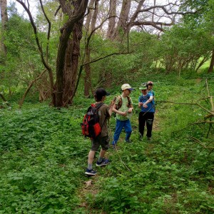 Přespání Havranů s výletem po okolí