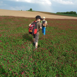 Přespání Havranů s výletem po okolí