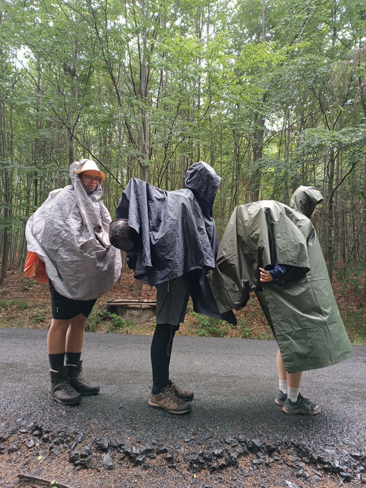 Kudlanko-Sršní puťák přes Brdy