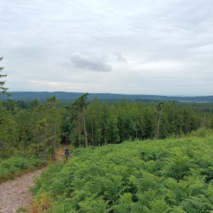 Kudlanko-Sršní puťák přes Brdy