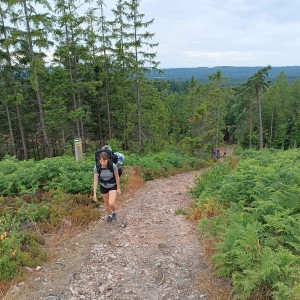 Kudlanko-Sršní puťák přes Brdy