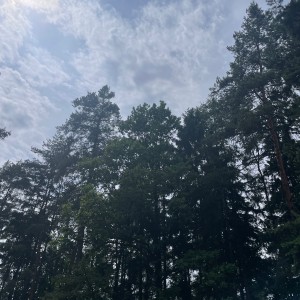 Kudlanko-Sršní puťák přes Brdy