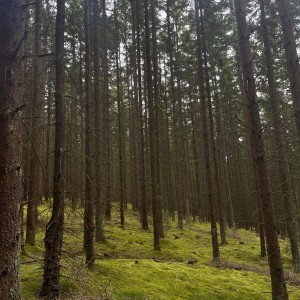 Kudlanko-Sršní puťák přes Brdy