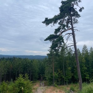 Kudlanko-Sršní puťák přes Brdy