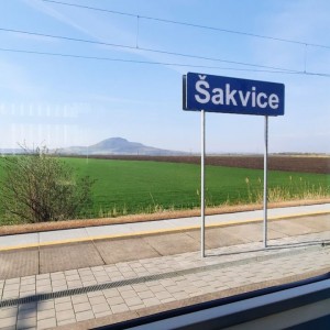 Rybky v Hustopečích