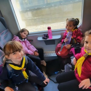 Rybky v Hustopečích