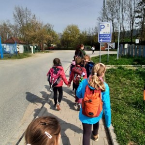 Rybky v Hustopečích