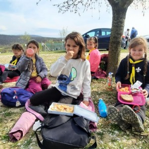 Rybky v Hustopečích