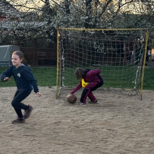 Rybky v Hustopečích