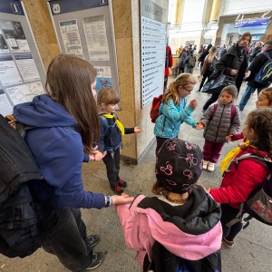 Rybky v Hustopečích