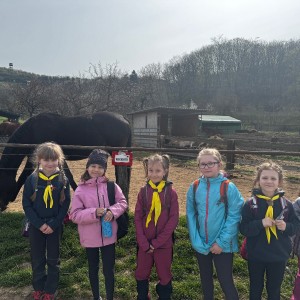 Rybky v Hustopečích