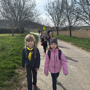 Rybky v Hustopečích