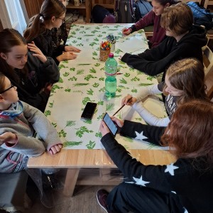 Soví lasergame