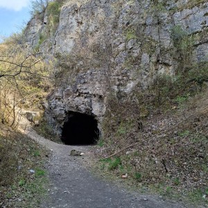 Soví výlet na Stránskou skálu a příprava na Svojsíkův závod