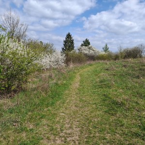 Soví výlet na Stránskou skálu a příprava na Svojsíkův závod