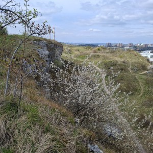 Soví výlet na Stránskou skálu a příprava na Svojsíkův závod