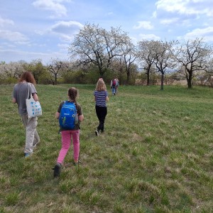 Soví výlet na Stránskou skálu a příprava na Svojsíkův závod