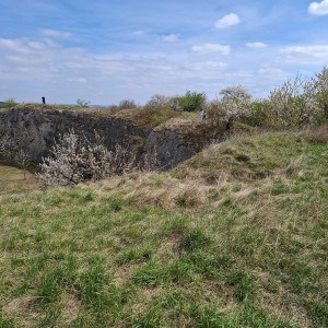 Soví výlet na Stránskou skálu a příprava na Svojsíkův závod