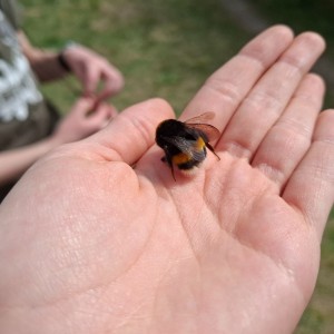 Soví výlet na Stránskou skálu a příprava na Svojsíkův závod